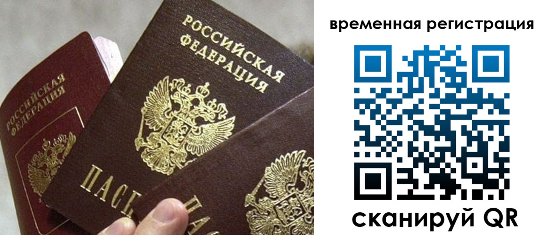 купить прописку в Чкаловске
